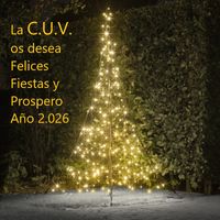 ARBOL-NAVIDAD-LED-2025-26